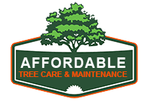 Affordable Tree Care Dallas Tx