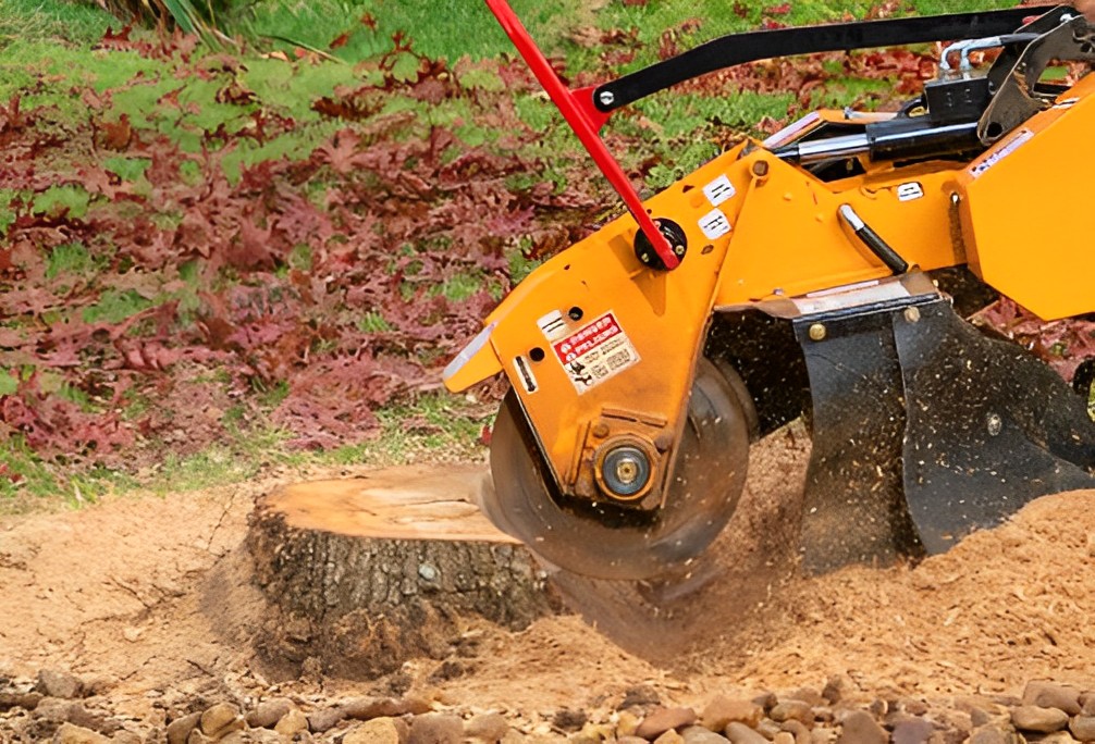 stump grinding a stump